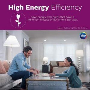 BR40 review, Explaining BR30 vs BR40 Energy Efficiency data